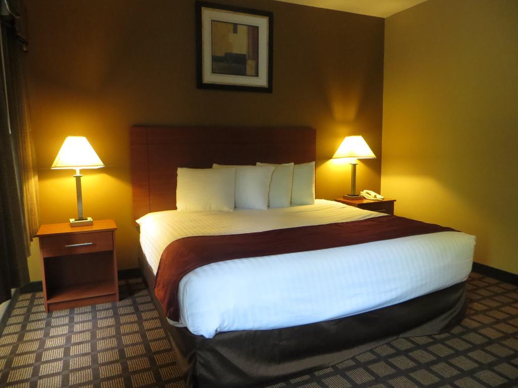 Baymont By Wyndham New Buffalo Bilik gambar