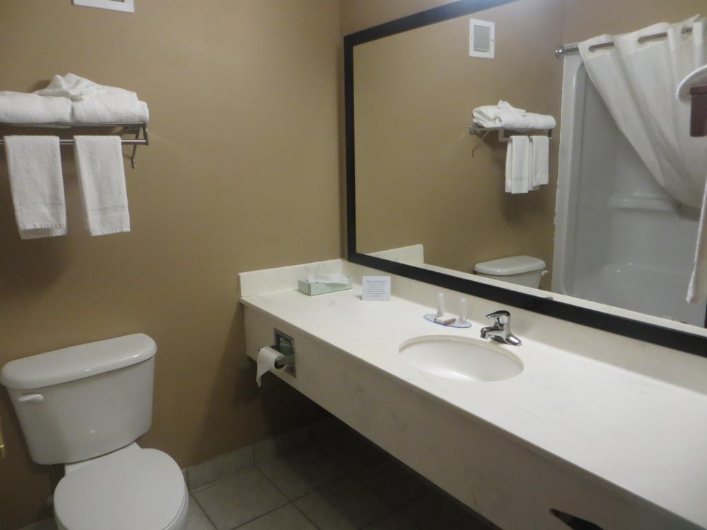 Baymont By Wyndham New Buffalo Bilik gambar
