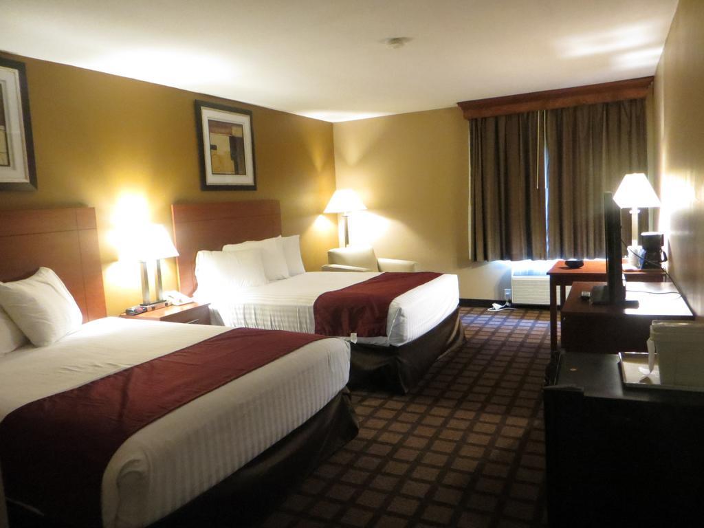 Baymont By Wyndham New Buffalo Bilik gambar