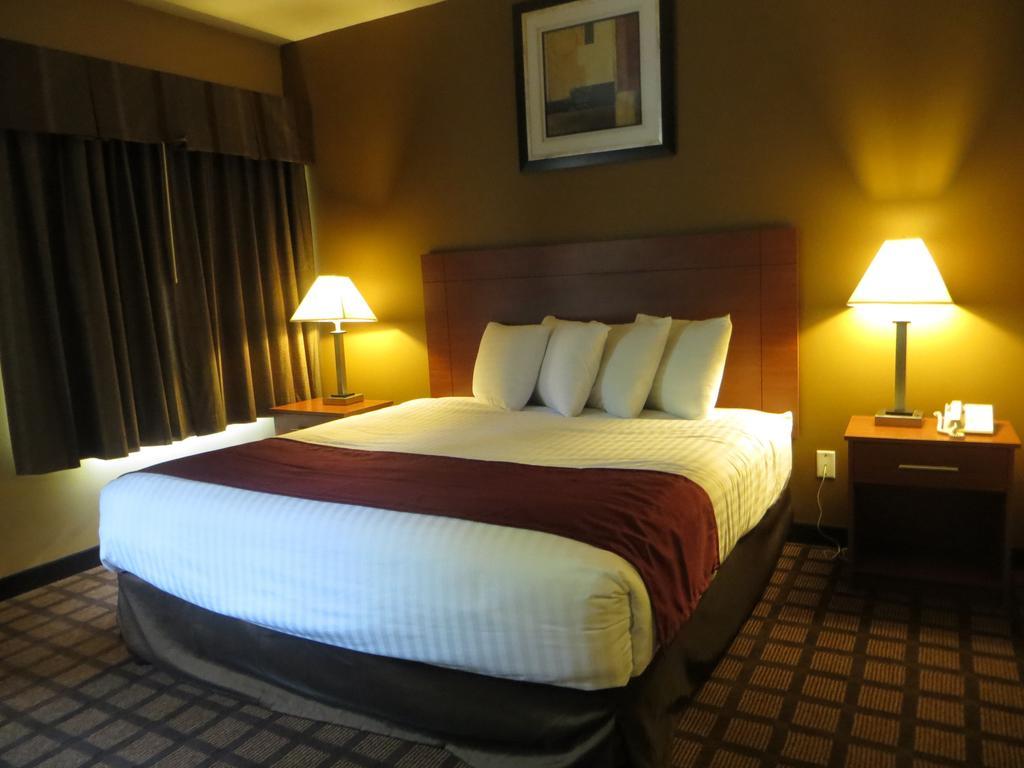 Baymont By Wyndham New Buffalo Bilik gambar